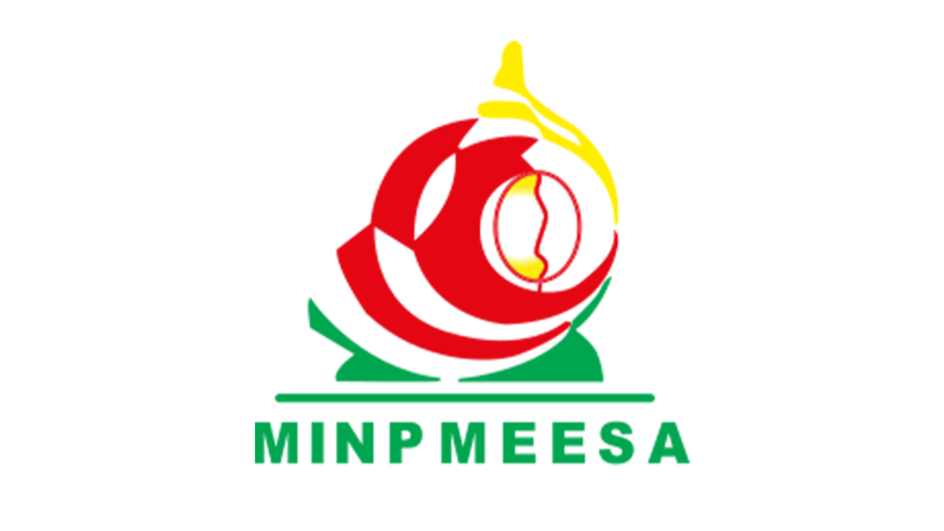 MINPMEESA